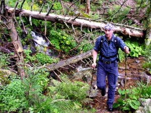 Alpiner Pfad 
